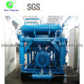 0.5-25MPa Pressure Booster CNG Natural Gas Compressor for Oil Fields